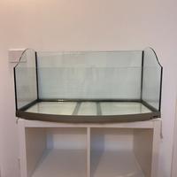 Acquario/tartarughiera