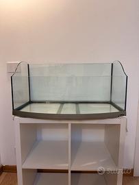 Acquario/tartarughiera