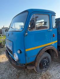 Iveco lupetto