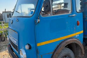 Iveco lupetto