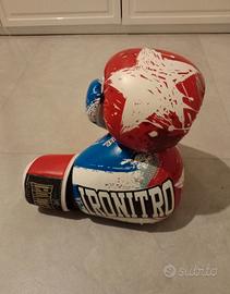 guanti da box 