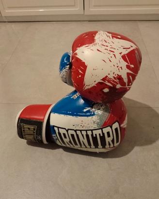 guanti da box 