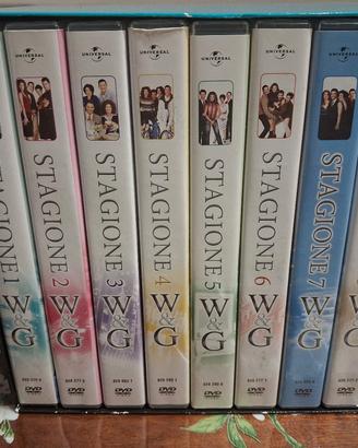 dvd da collezione 