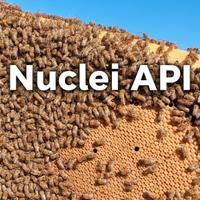 Nuclei api 2026