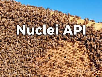 Nuclei api 2026