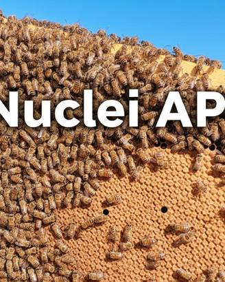 Nuclei api 2026