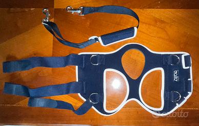 Tutore cane per displasia dell'anca