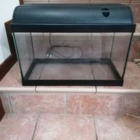 Acquario con accessori 