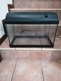 Acquario con accessori 