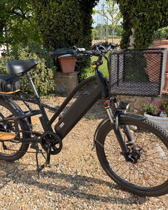 Bici elettrica cargo
