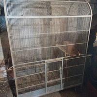 Gabbia per animali in ferro battuto