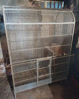 Gabbia per animali in ferro battuto