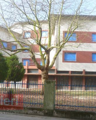 Albergo/Hotel - Cervia