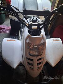 quad 110