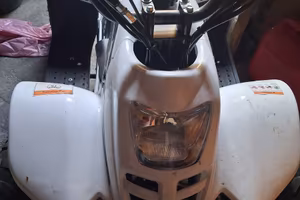quad 110