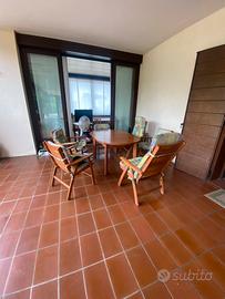 Tavolo da giardino con poltrone e sedie
