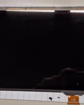 Display, mascherina e cavi flat Galaxy Note N8000