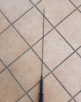canna da pesca 