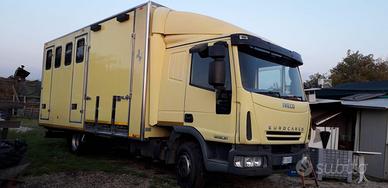 Camion trasporto Cavalli