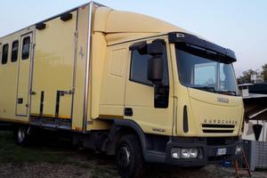 Camion trasporto Cavalli