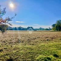 TER. RESIDENZIALE A SACCOLONGO