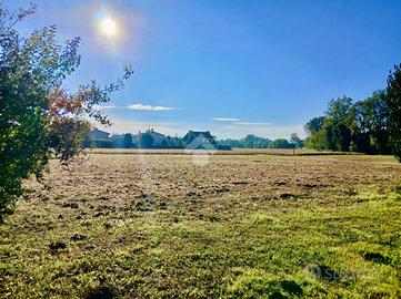 TER. RESIDENZIALE A SACCOLONGO