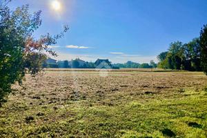 TER. RESIDENZIALE A SACCOLONGO