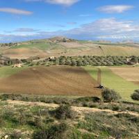 Terreno agricolo