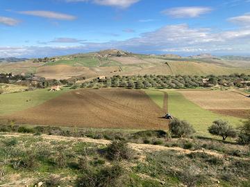 Terreno agricolo