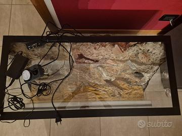 Teca per rettili completa  di accessori