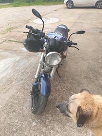 Ducati monster metallic 600cc