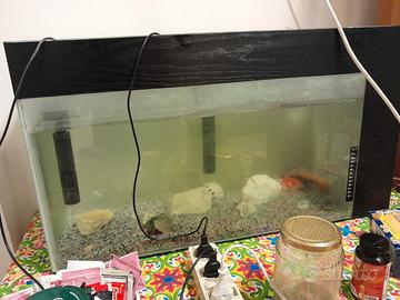 Aquario e 7 pesci tutto quanto a 50