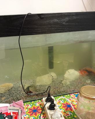 Aquario e 7 pesci tutto quanto a 50