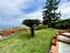 Immagine 16
