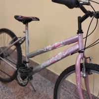 bicicletta numero 26