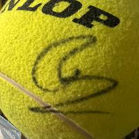 Palla gigante datennis