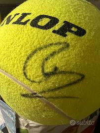 Palla gigante datennis