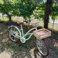 bicicletta da donna 
