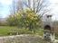 Immagine 14
