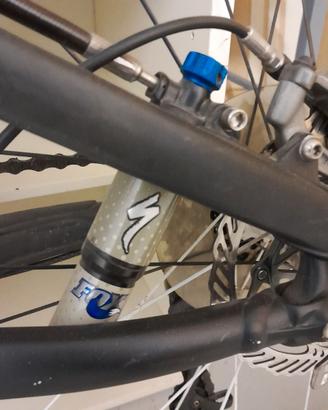 Bicicletta dh
