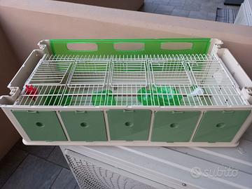 Trasportino per uccelli