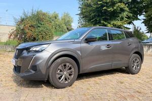 Peugeot 2008 1.5 bluehdi Active Pack s&s 110cv