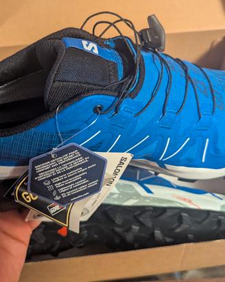Salomon speedcross 6 GTX  49 1/3