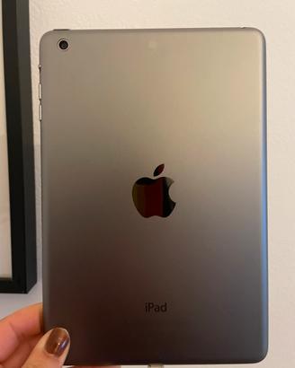 IPad Mini (1ª Gen) 16GB Space Gray - Cond. ottime