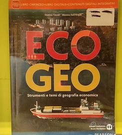 ECO GEO Strumenti e temi di geografia economica