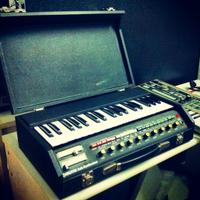 Raro Wersi bass synth 1977