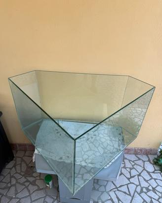 Acquario per pesci
