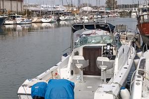 Chris Craft Sea Hawk 216