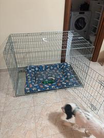 Kennel per animali
