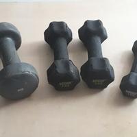 4   manubri pesi fitness